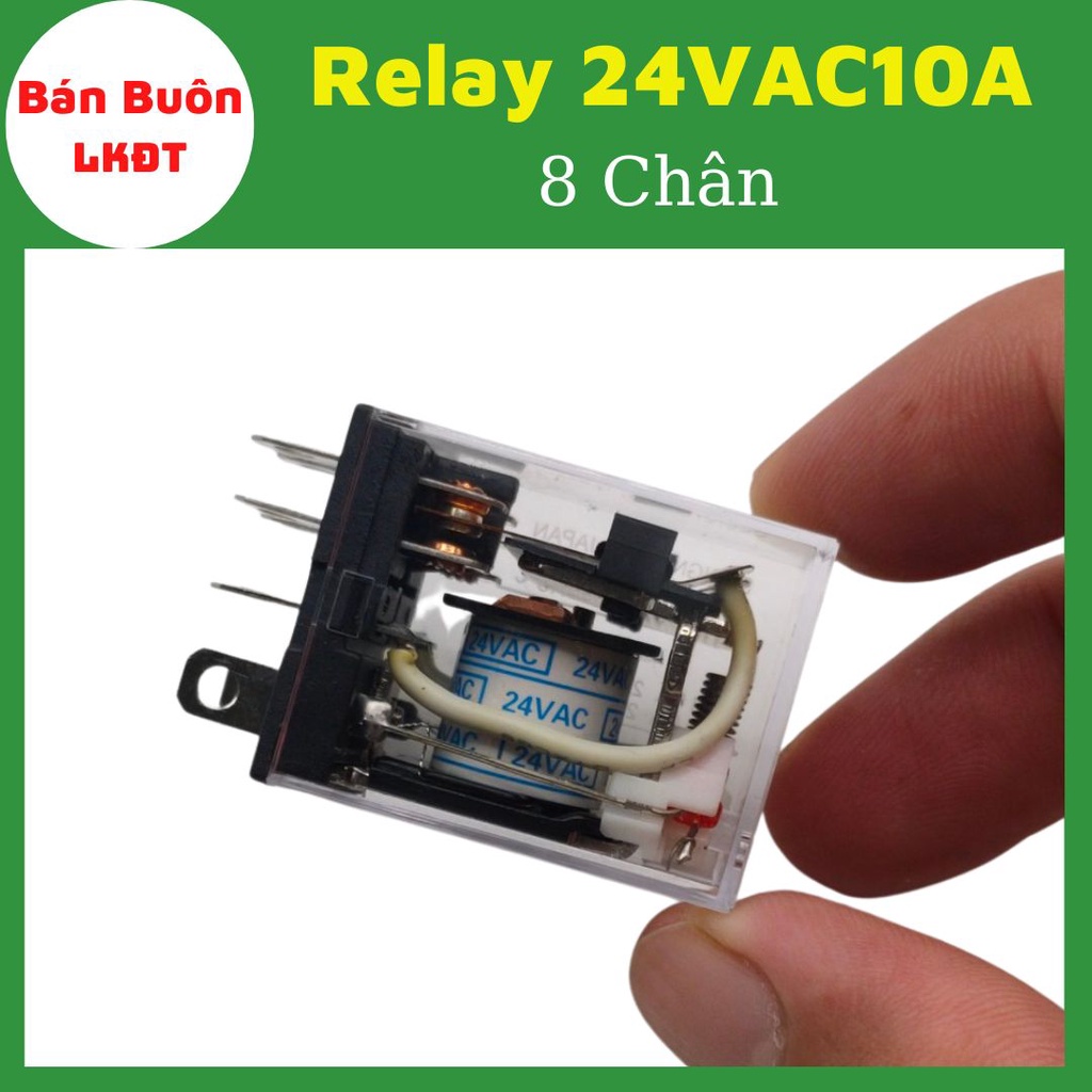 Relay trung gian 24v10a 8 chân, Rơle trung gian 24v, relay 24v10a, reay 24v 8 chân [Hàng xịn]