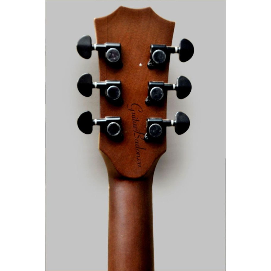 Acoustic Guitar Taylor Việt Nam D350