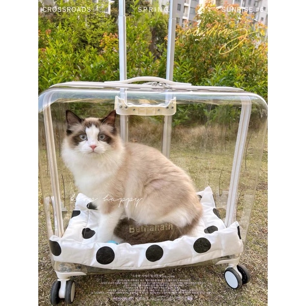 (có sẵn )Vali kéo vận chuyển chó mèo thú cưng CAO CẤP(kèm ảnh thật)sale vali móp ib gửi hình