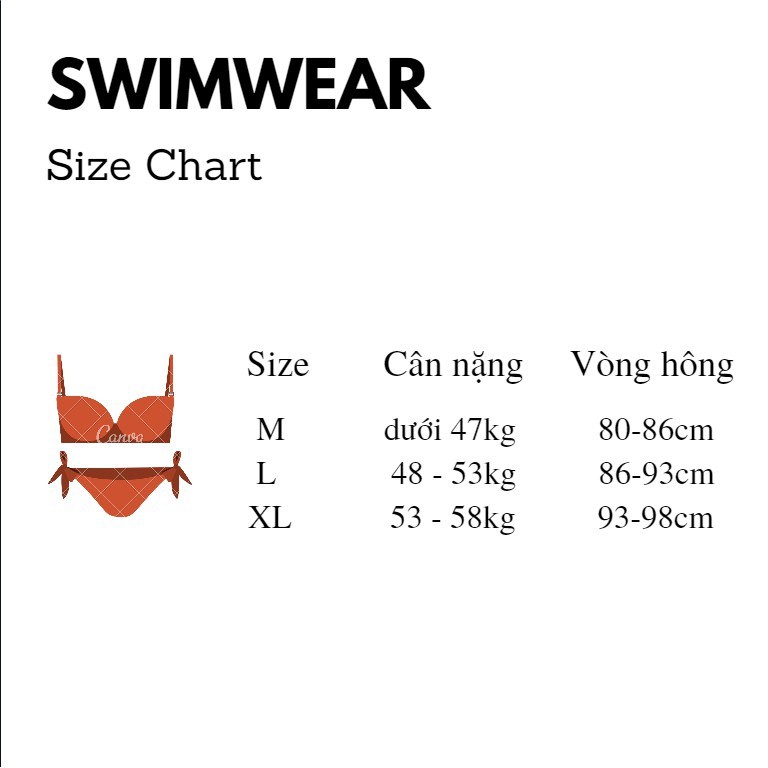 Bộ Đồ Bơi Đi Tắm Biển Nữ Bikini 2 Mảnh (Set Áo Bra Và Quần Lót) 1908 - Cửa hàng Việt Nam - Livan Sport