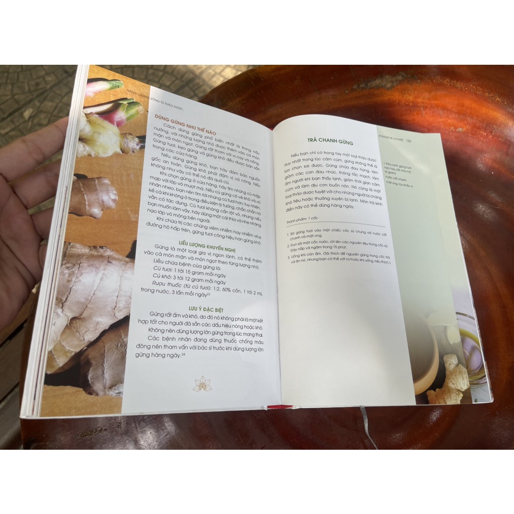 Sách - [Bìa cứng in màu, tặng kèm bookmatk]  Năng lượng sống từ thảo dược - Rosalee de la Forêt - Huy Hoang Bookstore