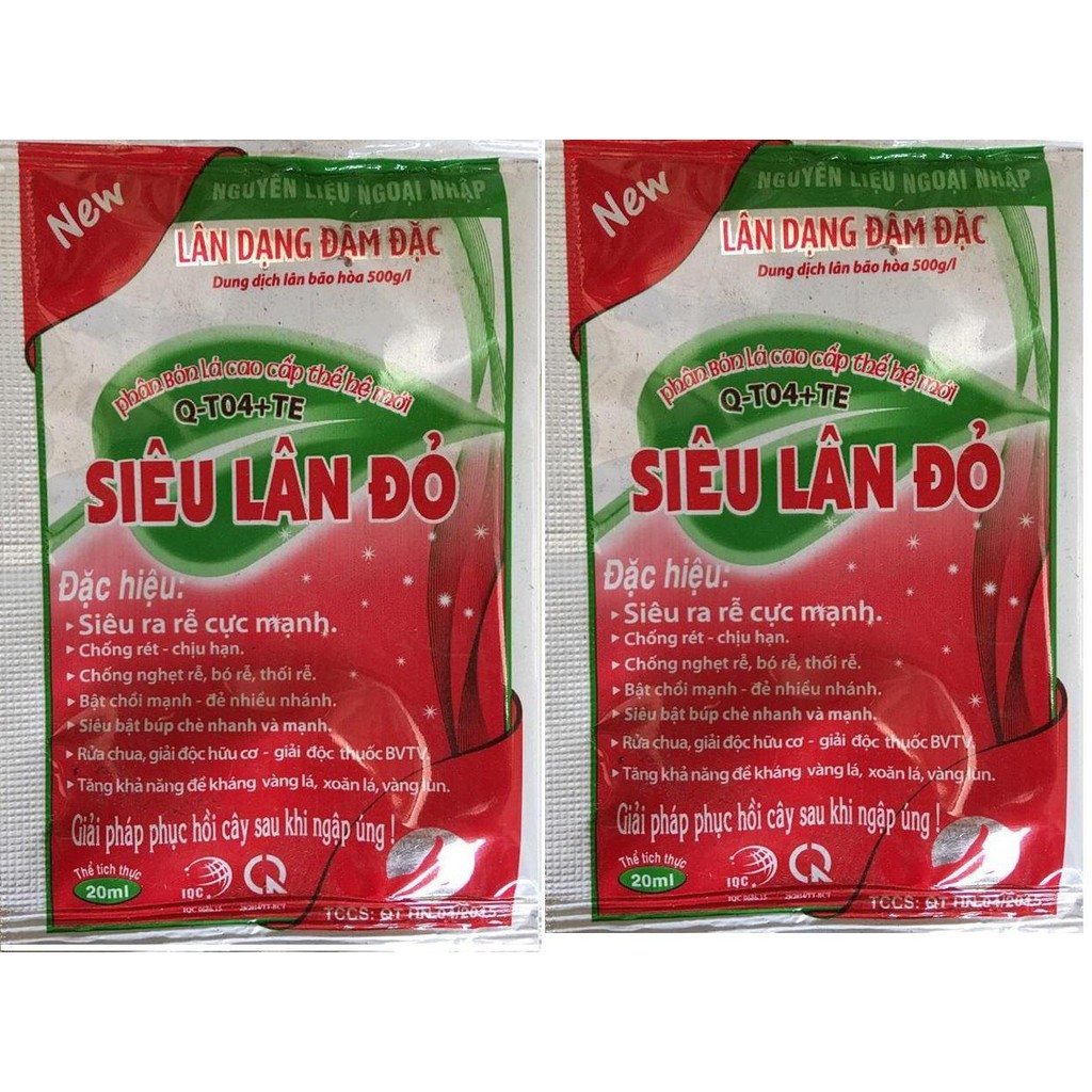 Siêu lân đỏ đậm đặc- cây khỏe, rễ mạnh (có thể dùng cho cây vừa đảo bầu, trồng lại..)