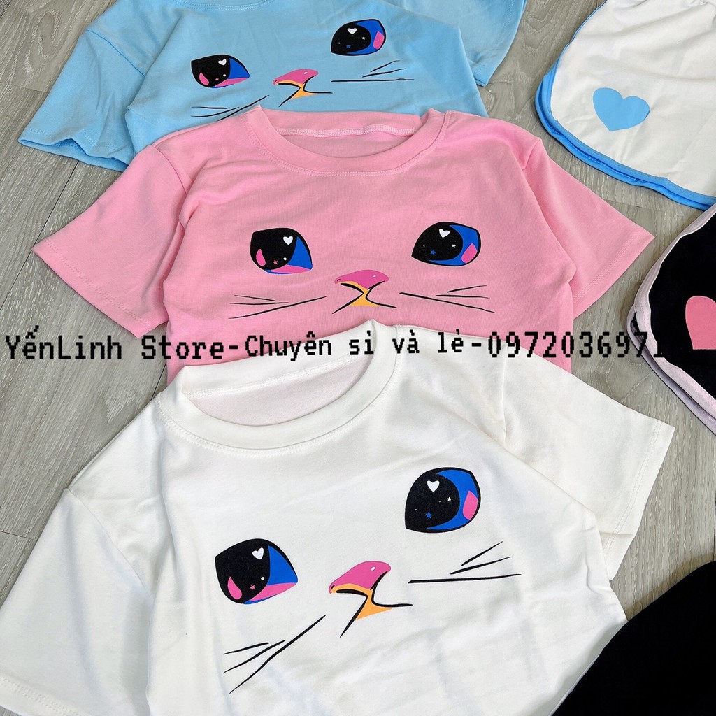 Set bộ áo croptop quần đùi mèo ba màu xinh xắn YenLinhStore S018