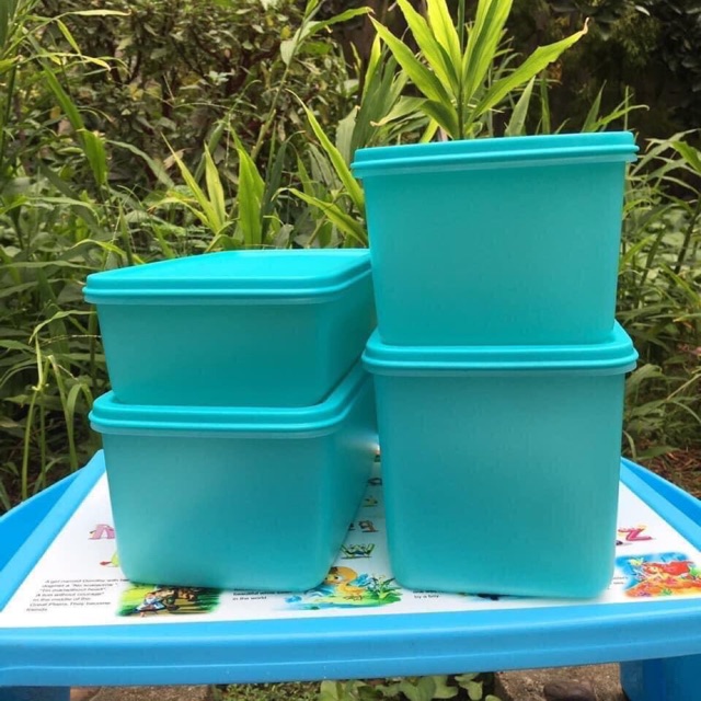 Bộ 4 hộp ngăn mát Tupper tiện lợi ( hàng chính hãng) | BigBuy360 - bigbuy360.vn