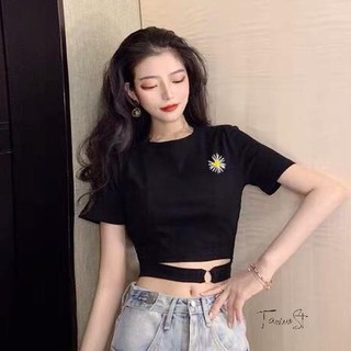 Áo thun gân croptop ôm body kiểu - CA01