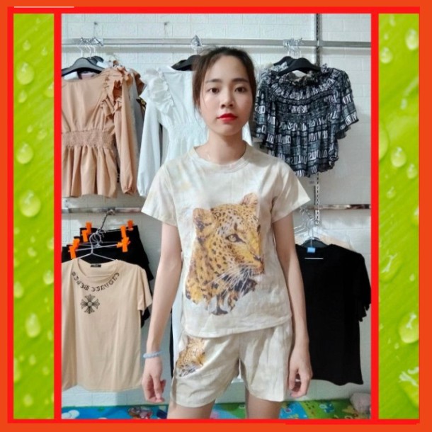 [GIẢM GIÁ] [VIDEO]⚡✨ Bộ Đồ Nữ Thun Lạnh Mặc Đi Chơi Dạo Phố Mùa Hè, Áo Phông Cotton Phong Cách Teen Hàn Quốc⚡✨🥰🥰💯 Mặc