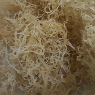1kg rong biển khô làm nộm giòn ngon
