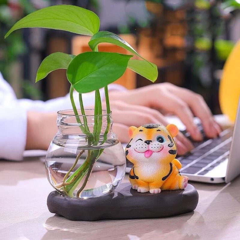 Chậu trồng cây thủy sinh mini, chậu thủy tinh để bàn