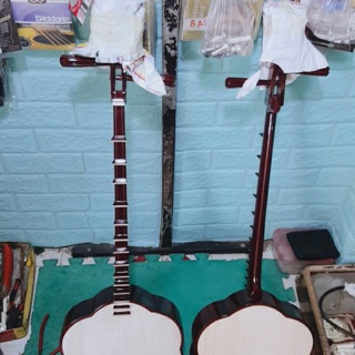 Đàn sến gỗ Hương
