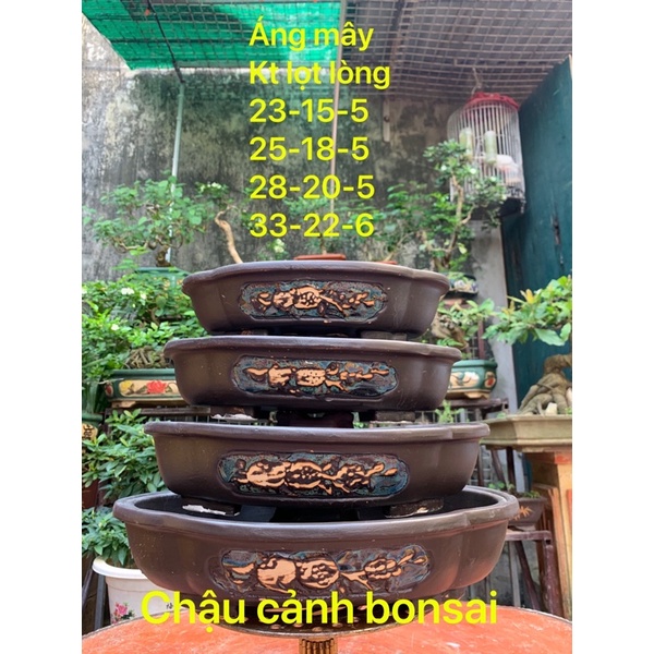 chậu ovan giả cổ ( Bạn vào fanpage : chậu cảnh bonsai để được giá thấp hơn )