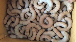 1kg Me khô ngọt thái lan