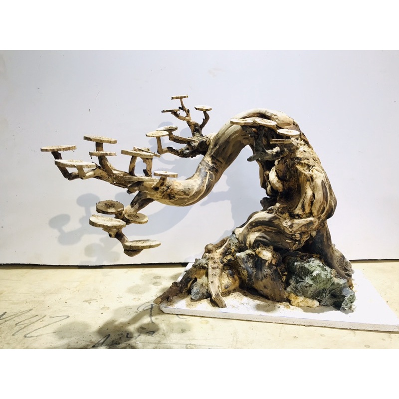 Lũa Bonsai cho bể 60-80