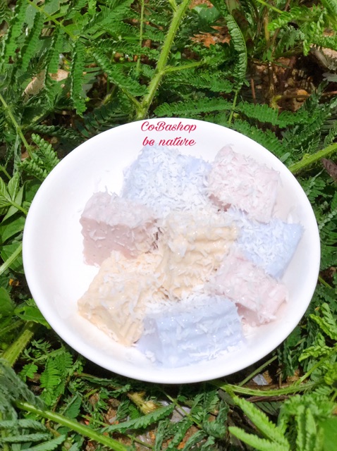 Nấm Sữa Kefir Làm Sữa Chua Tại Nhà Tặng Sổ Tay Hướng Dẫn Chi Tiết