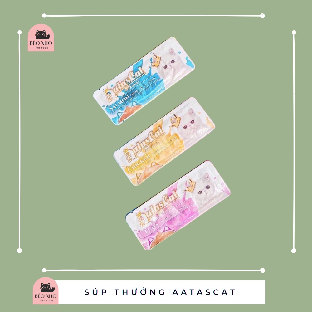 Hộp 20 thanh Súp thưởng AatasCat mix vị -Singapore