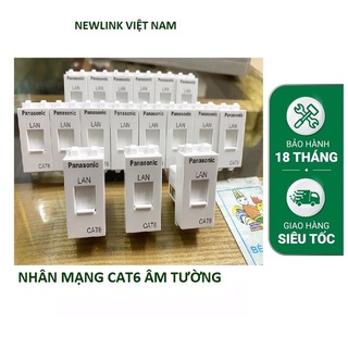 Nhân ổ cắm mạng thoại cat3 cat5 cat6 Panasonic lắp âm tường