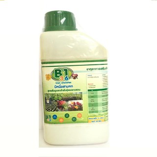 Phân bón lá kích thích sinh trưởng Iron Chelates B1-36 chai 500ml hàng nhập khẩu Thái Lan