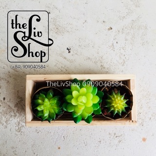 Chậu gỗ trồng cây (20cm)