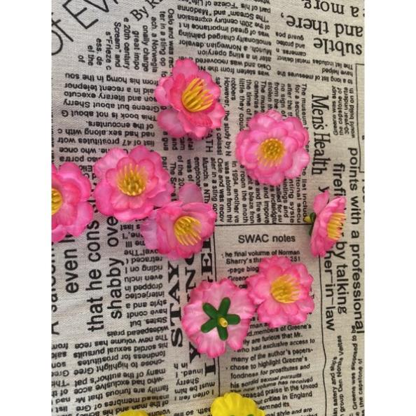 Anh đào bông rời 500g phù hợp trang trí cây giả ngày tết