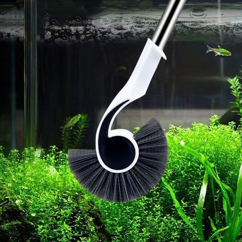 Cây Cọ Chà Hồ Vệ Sinh Bể Cá Cán Trắng 60cm