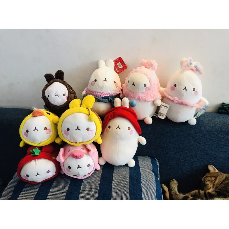 molang nhiều mẫu ( lh shop)