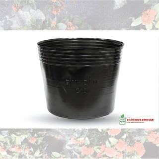 combo 10 cái Chậu nhựa đen C10 trồng cây dày dẻo màu đen, nhựa tốt rất bền