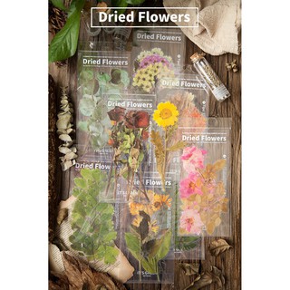 Stickers hoa khô hoa ép vở dán trang trí