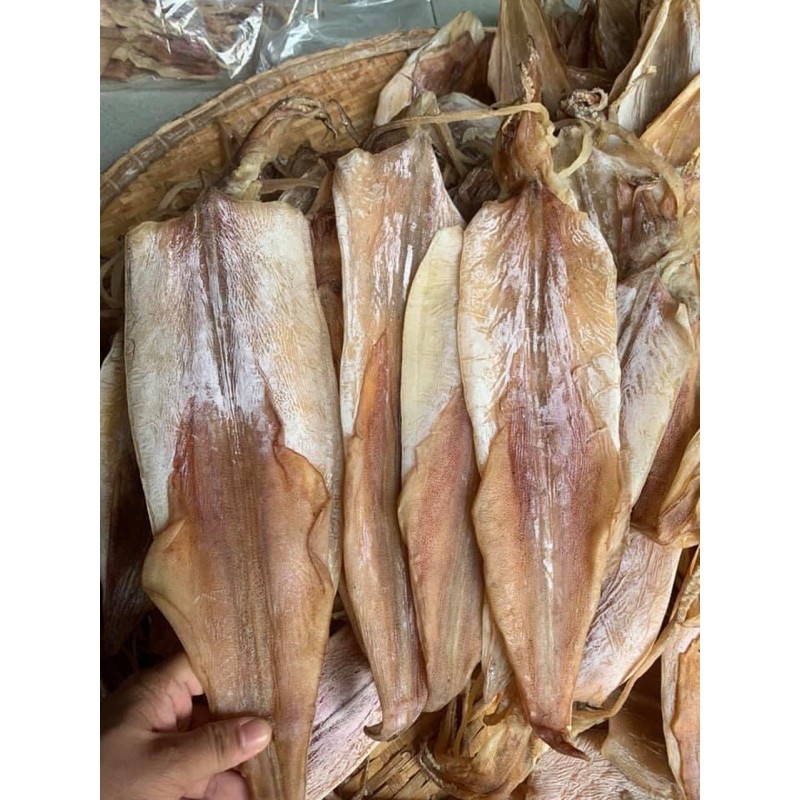 1 con mực câu phú quốc size 6-8 con