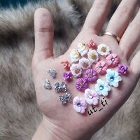 hoa bột mỹ - đậu thoi 9 cánh