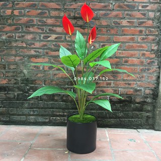 Cây lan ý giả trang trí cao 90cm - Cây giả không bao gồm chậu