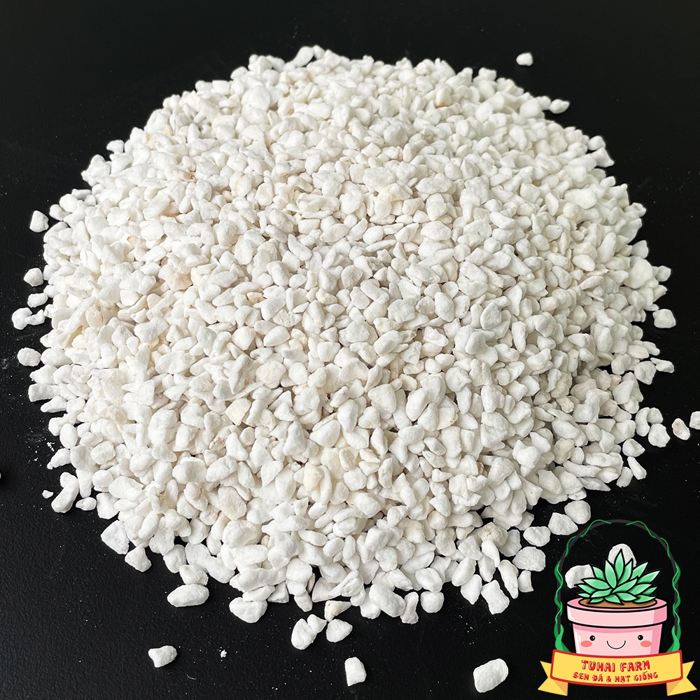Đá Perlite 3-6mm sạch bụi vụn chuyên dùng trộn giá thể trồng cây sen đá