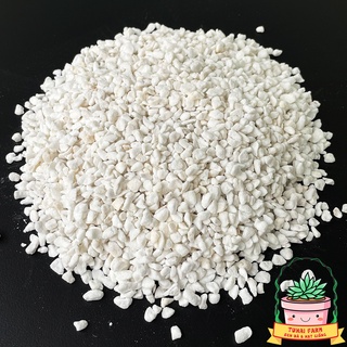 ĐÁ PERLITE 1L - ĐÁ KHOÁNG CHUYÊN DỤNG TRỘN GIÁ THỂ TRỒNG SEN ĐÁ, XƯƠNG RỒNG