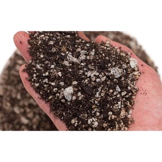 Đá bọt Pumice Indonesia 1kg