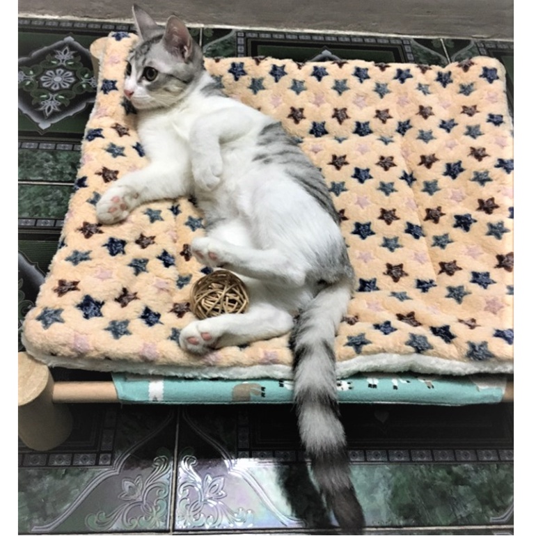 THẢM NẰM CHO CHÓ MÈO MỀM MỊN - LOVE PETS SHOP