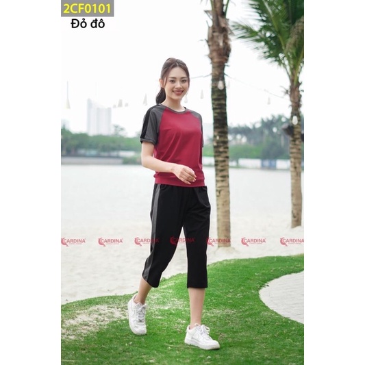 Mã 2CF01 - Bộ thể thao nữ cotton lửNg phối tay CARDINA