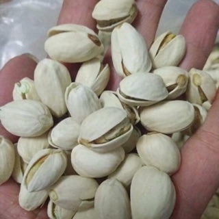 Hạt dẻ cười