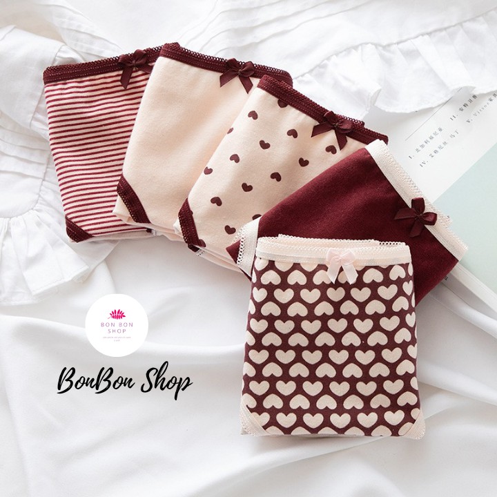 Set 5 Quần Lót COTTON Combo 5 Quần Chíp Nữ Nhiều Loại Cạp Vừa Cạp Vừa Chống Hằn Lộ Viên Co Gĩan NHều | BigBuy360 - bigbuy360.vn