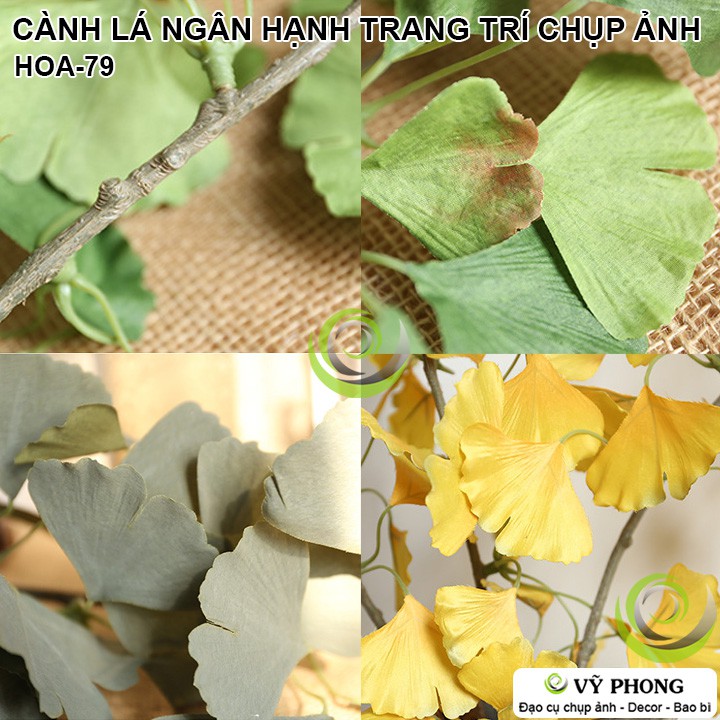 CÀNH LÁ NGÂN HẠNH RẼ QUẠT TRANG TRÍ ĐÁM CƯỚI ĐẠO CỤ CHỤP ẢNH SẢN PHẨM INS HOA-79