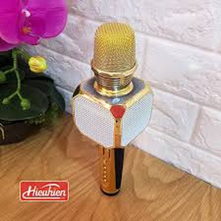Mic Karaoke SD-10 Kèm Loa Bluetooth
