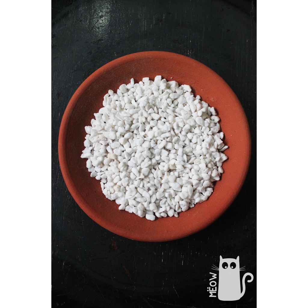 Đá  PERLITE Nostiplant  size 3-6mm nhẹ xốp | Giá thể trồng sen đá, xương rồng, cây nội thất