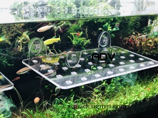 GIÁ ĐỠ CÂY MICA HÍT KÍNH