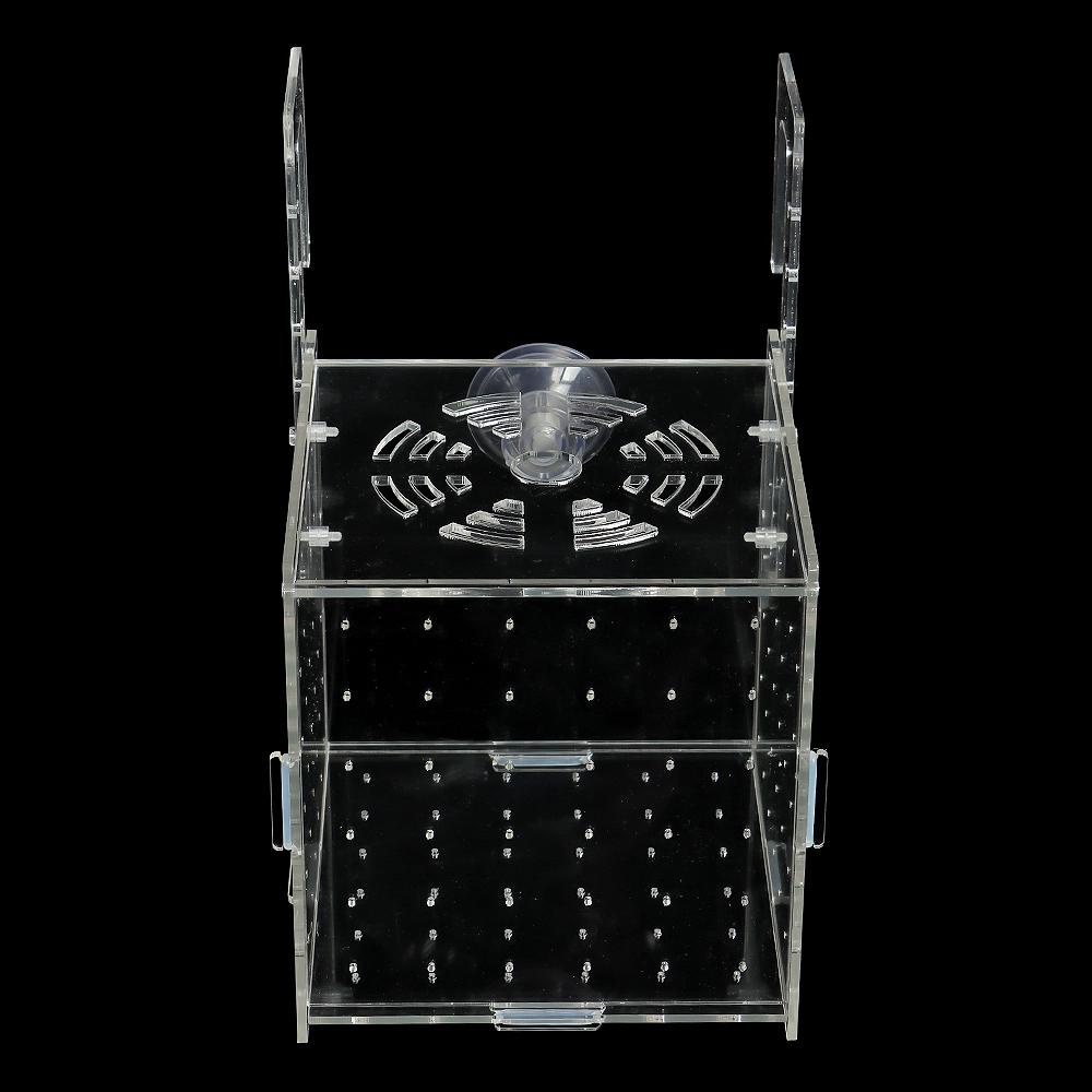 Hộp Cách Ly Ấp Trứng Cho Bể Cá