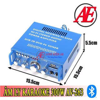 Âm Ly Karaoke Bluetooth 2x300W