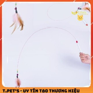 CẦN CÂU MÈO DÂY THÉP.
