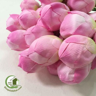 Cành hoa sen giả - cành sen vải lụa cao cấp