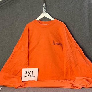Combo ngẫu nhiên 10 áo sweater 2hand