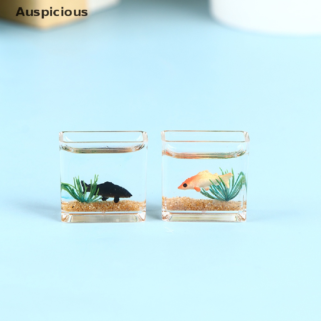 Bể Cá Mini Bằng Nhựa Trong Suốt Diy
