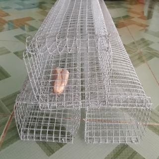 Bẩy rắn, Bẩy chồn