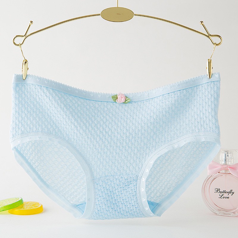 Quần Lót Nữ Cotton Thông Hơi (885)