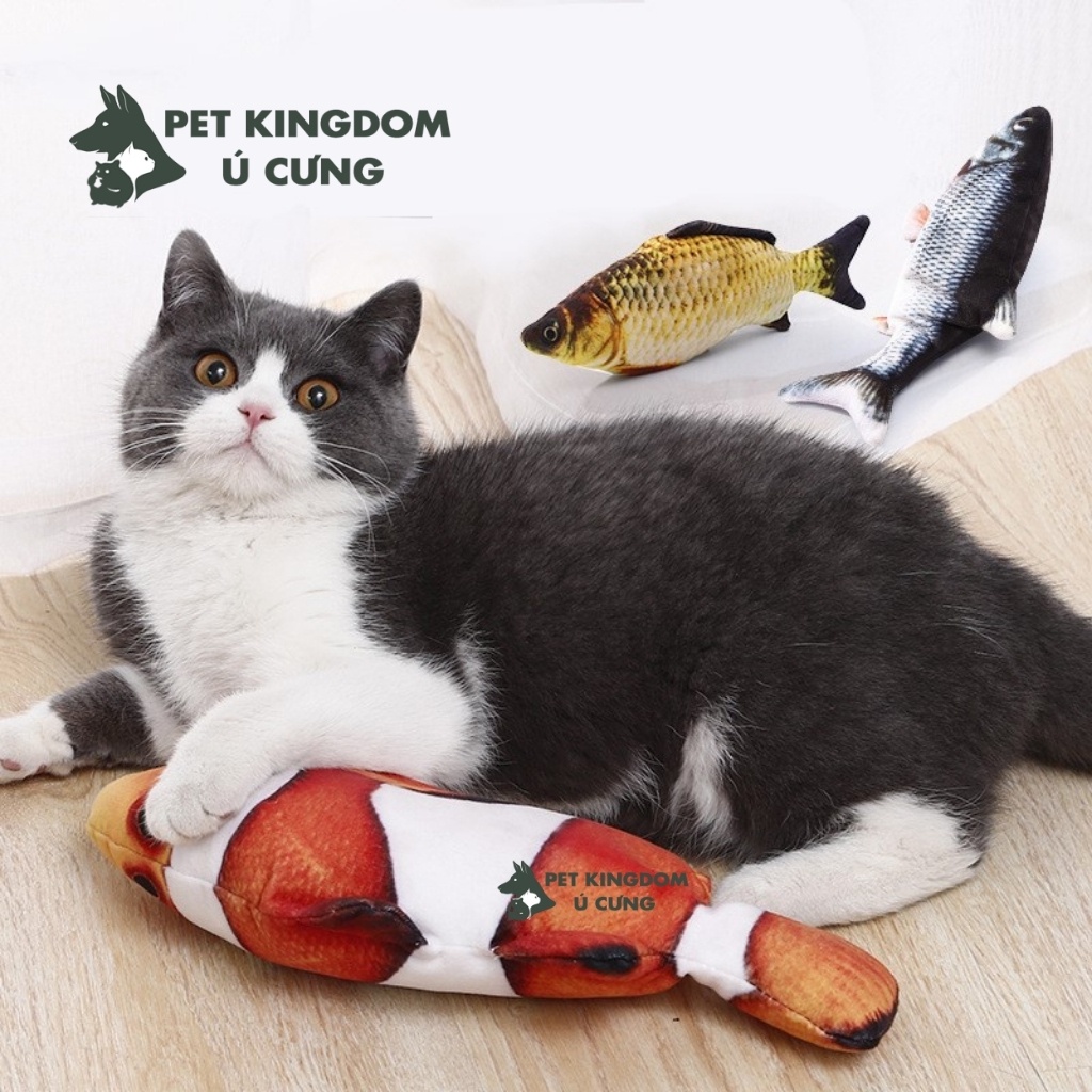Đồ Chơi Cho Mèo Cá Nhồi Bông Kèm Catnip