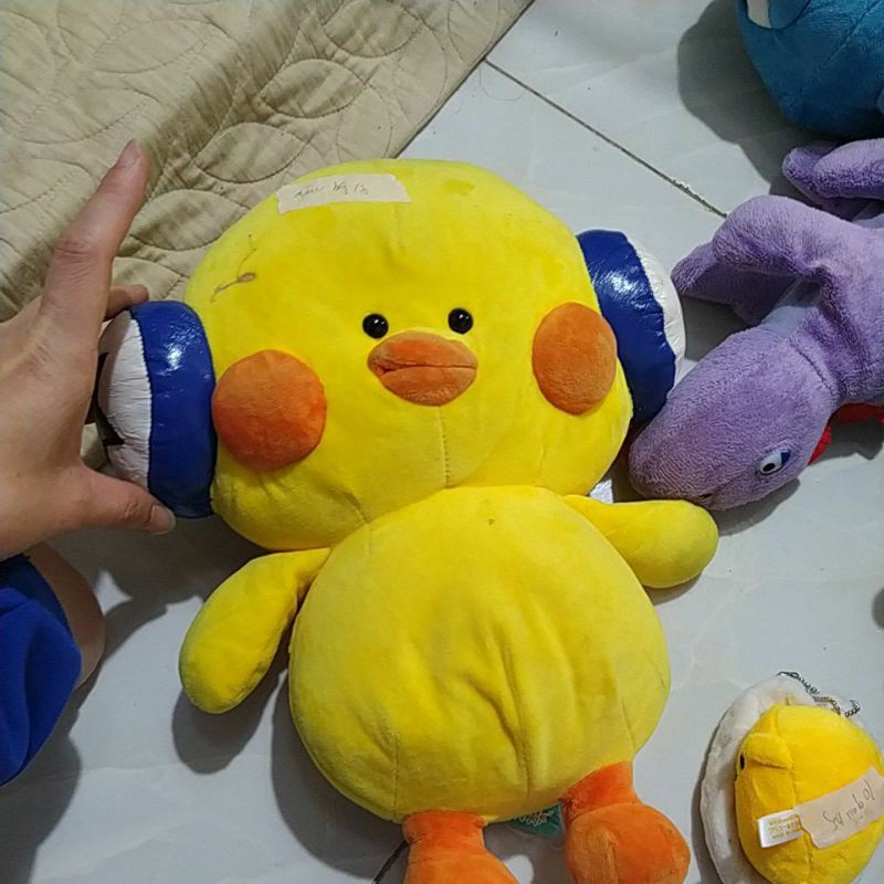 gấu bông cu te